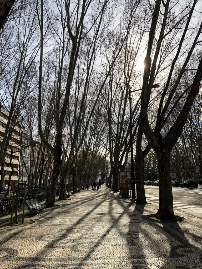 Avenida da Liberdade, Lisbon