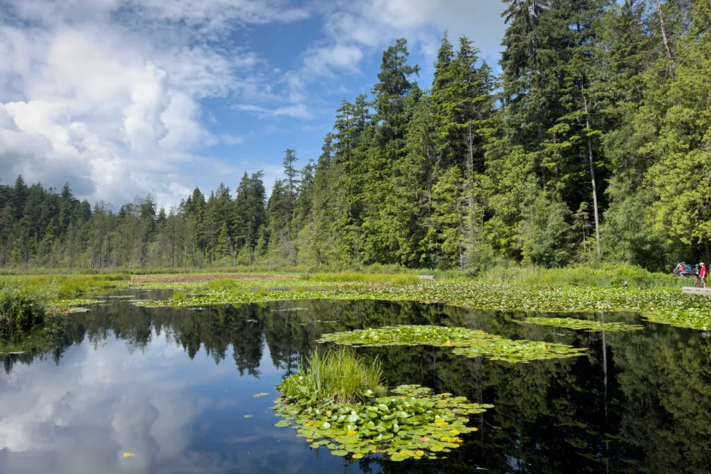 Where to Stay in Vancouver - Stanley Park
