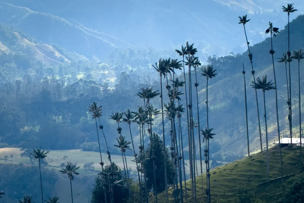 Vale de Cocora em Salento, Colombia, um dos nossos destinos favoritos no itinerário volta ao mundo