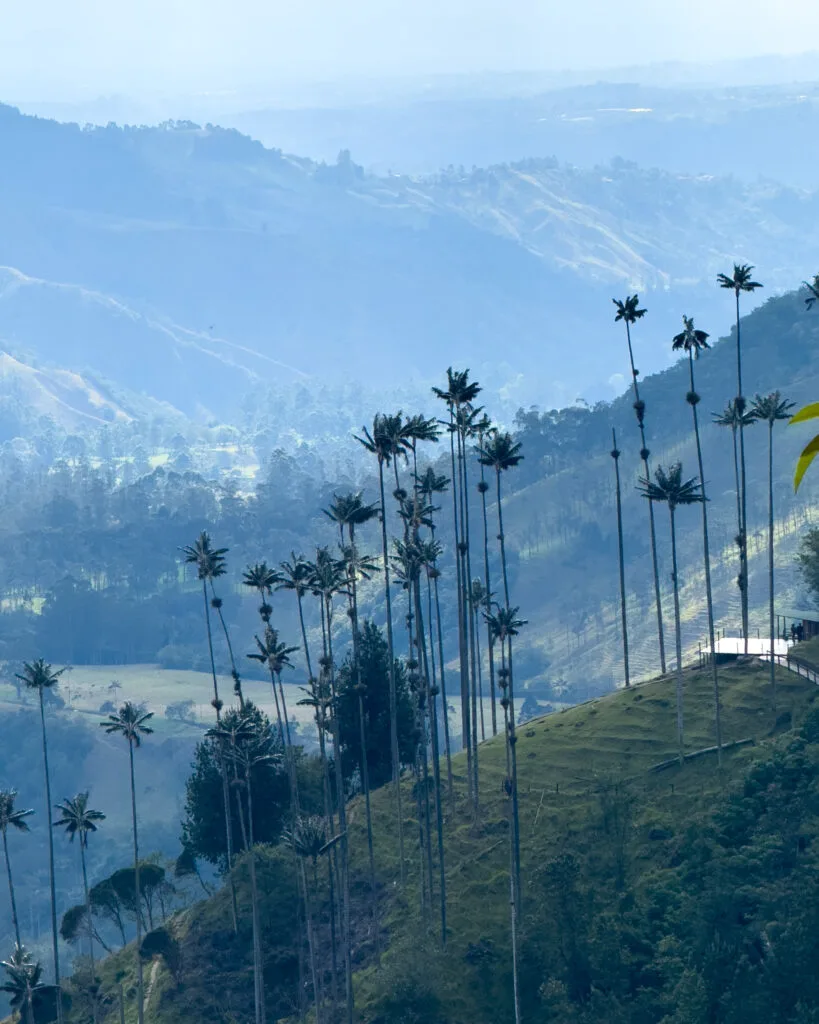 Travel Trends for 2025: Colombia