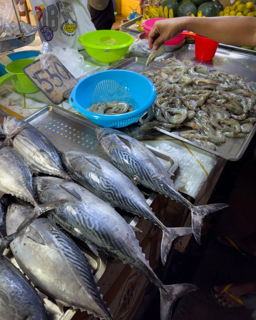Fish - Coron Market - Philippines