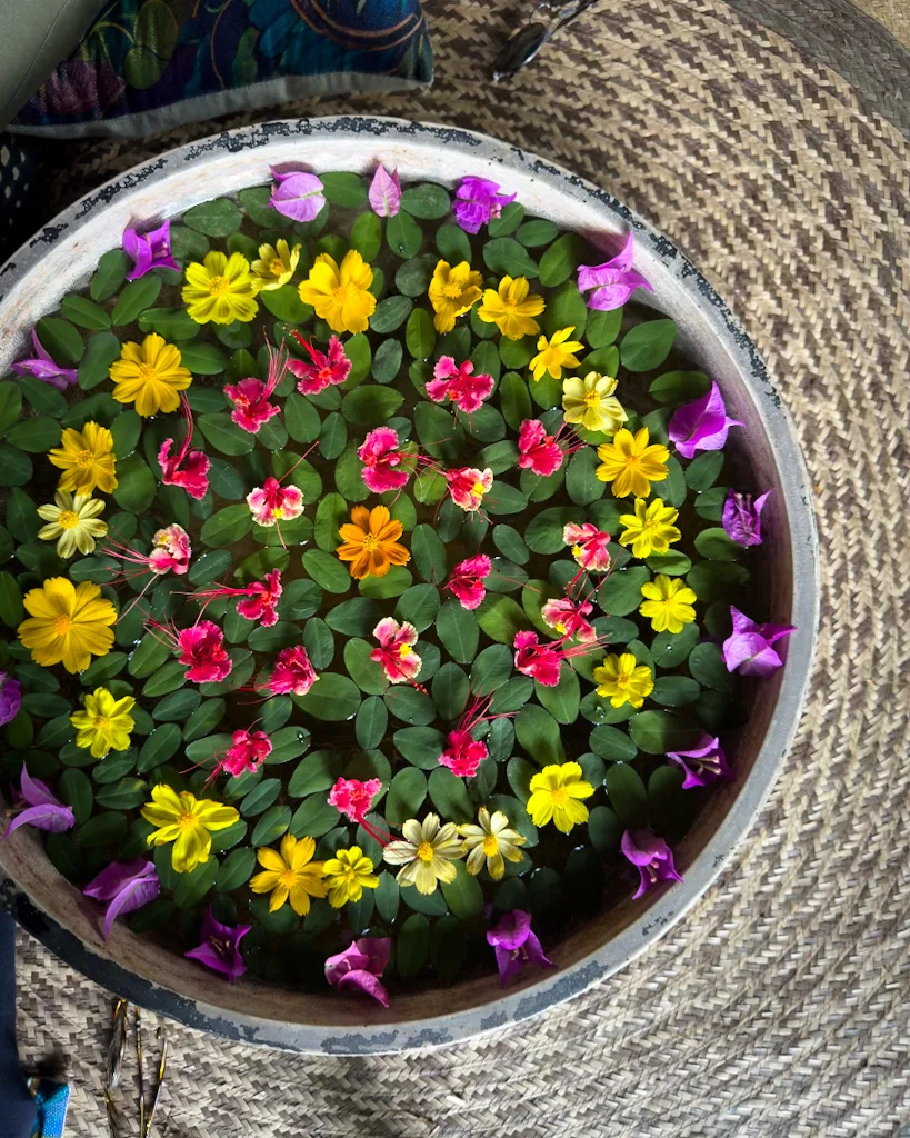 The Farm at San Benito - Floating Mandalas