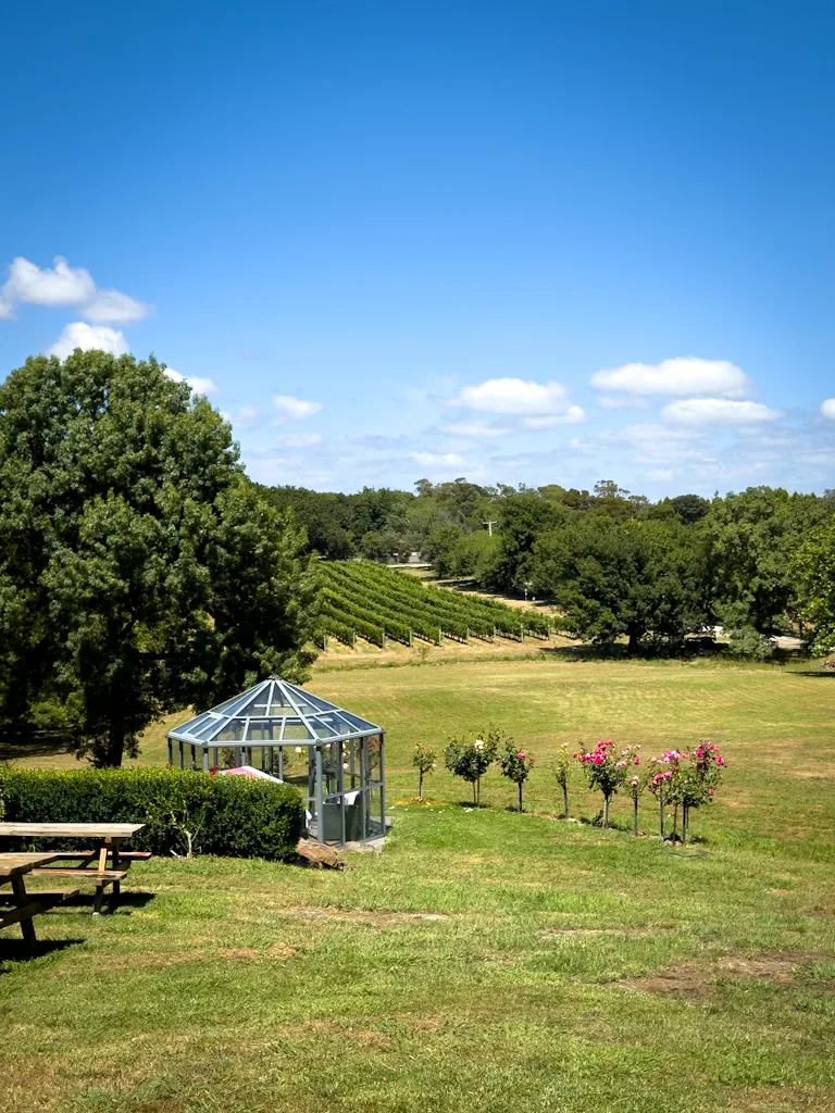 Things to do in Tamar Valley - Visit Vineyards