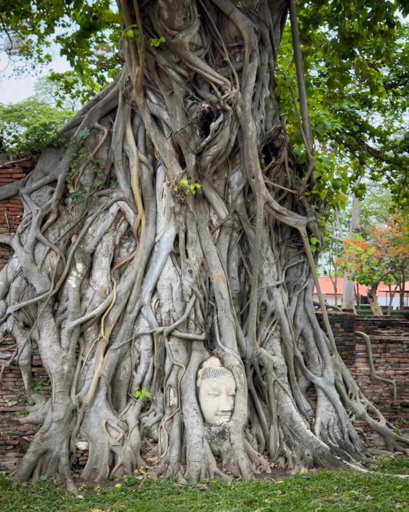 How to visit Ayutthaya - Wat Mahathat