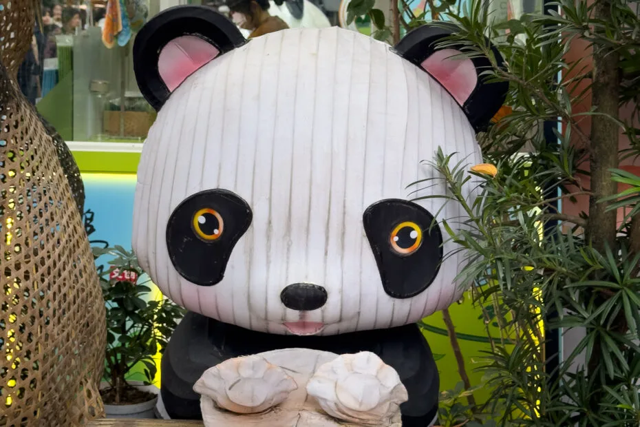 Panda - People’s Park, Chengdu, China
