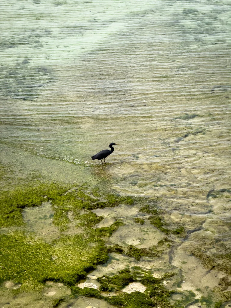 Senaha Coast, Okinawa, Japan