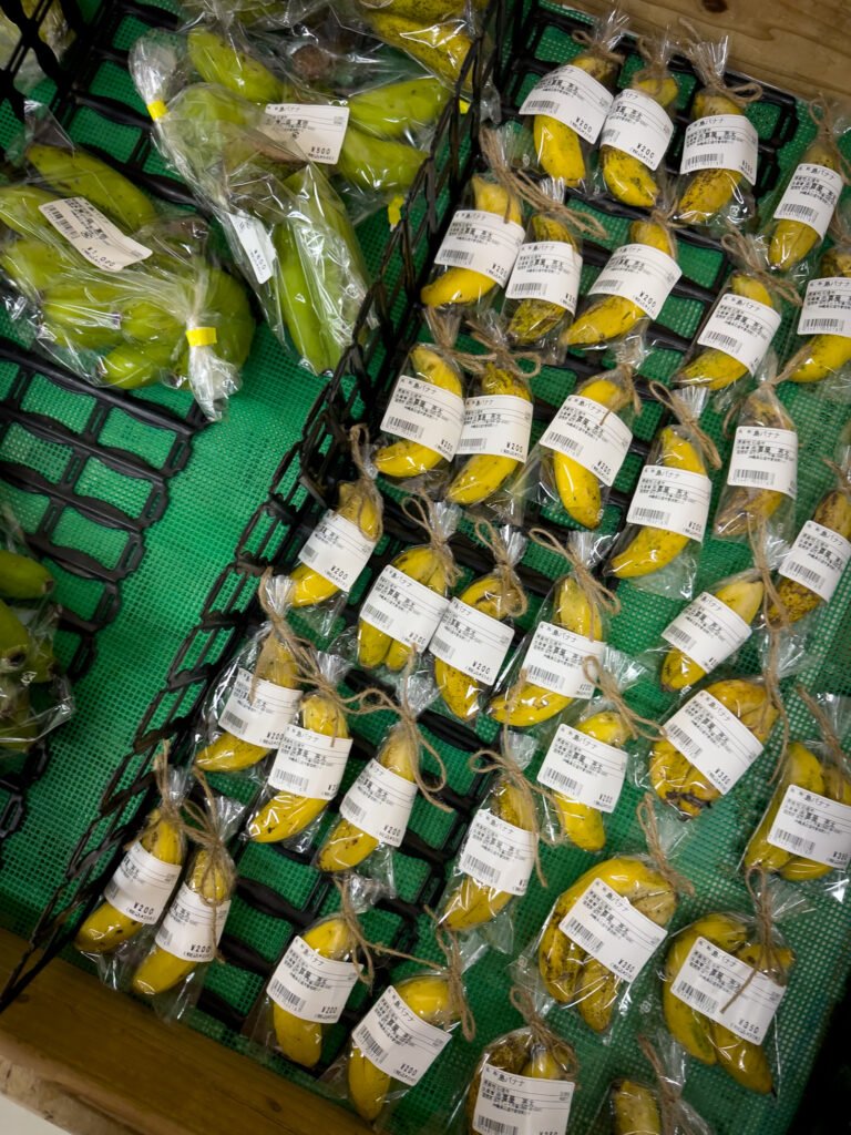 Yurateiku Market, What to do in Ishigaki, Japan