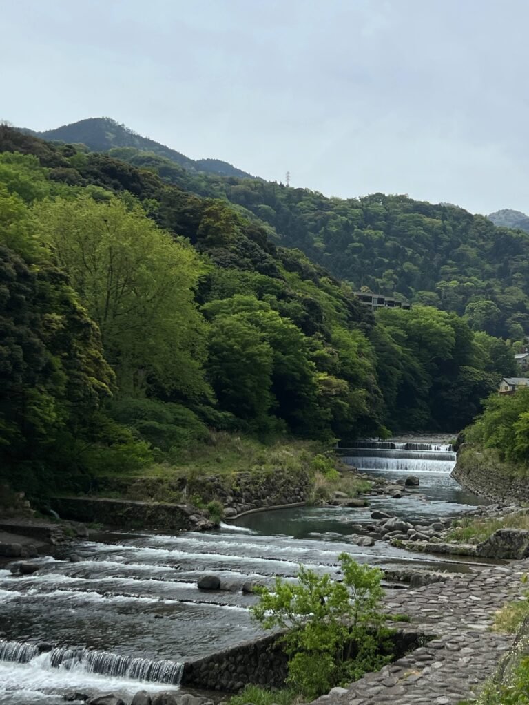 Where to stay in Hakone Yomoto, Japan