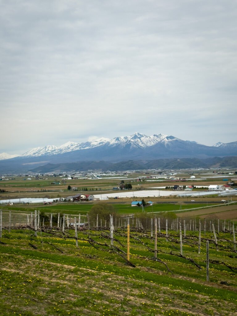 Furano Winery, Hokkaido, Japão