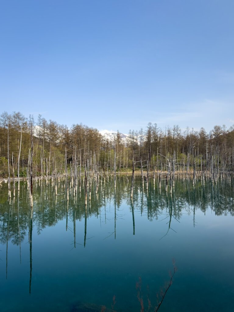 Blue Pond, Hokkaido, Japão