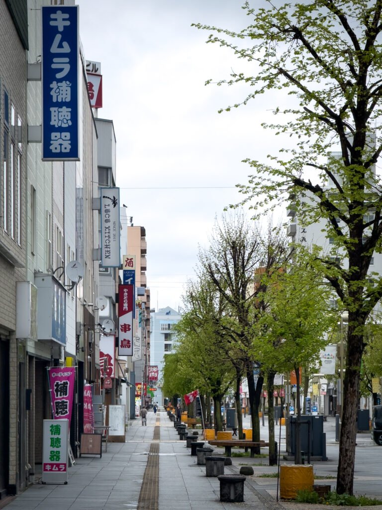 Heiwa Dōri Shopping Street, O que fazer em Asahikawa, Japão
