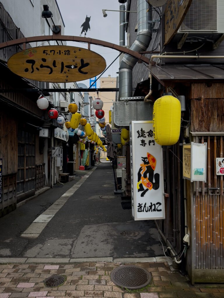 Ramen Village, O que fazer em Asahikawa, Hkkaido, Japão