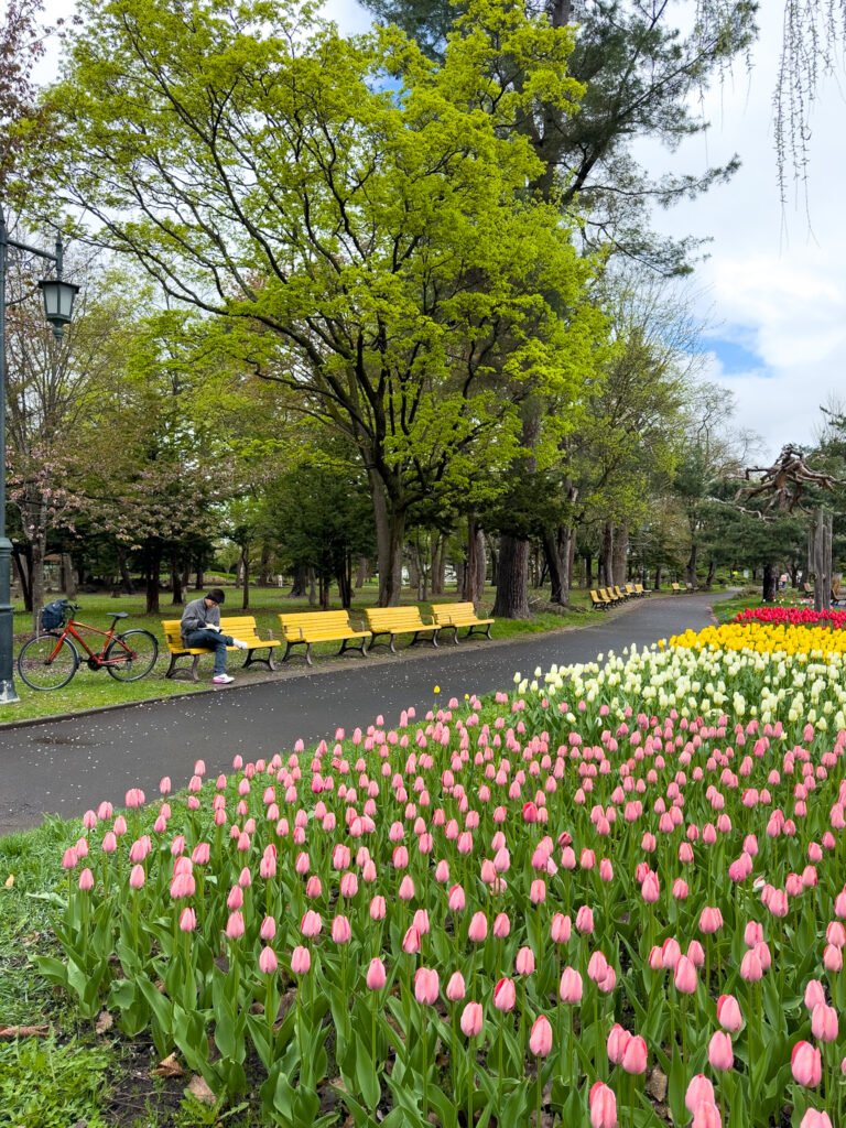 Tokiwa Park, Asahikawa, Japão