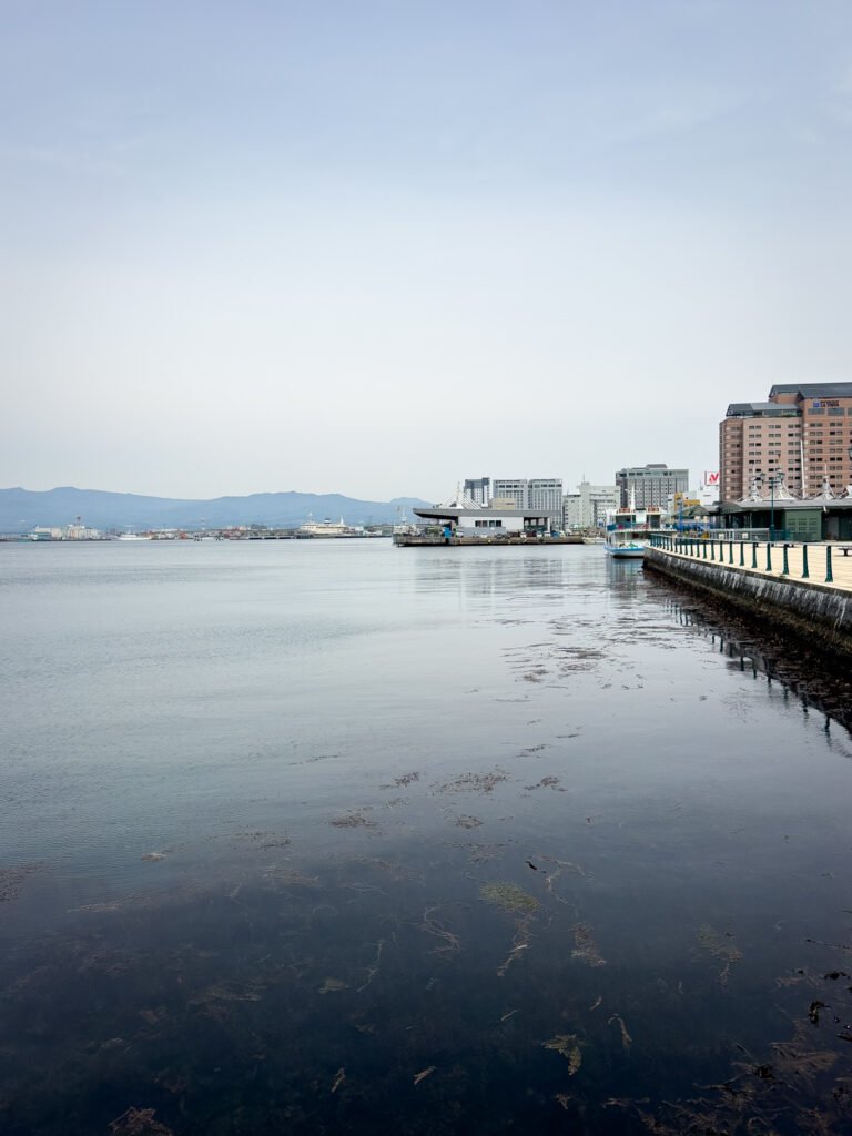 Bay Area, Hakodate, Japão