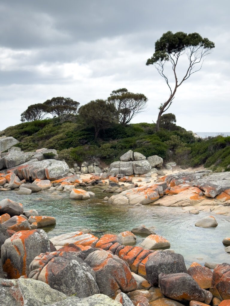 Where to stay in St Helens - Binalong Bay, Tasmania