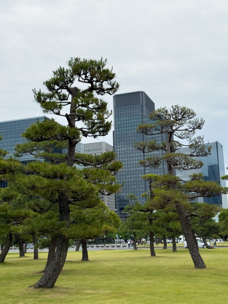 Imperial Palace, Tokyo, Japan