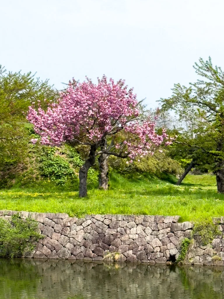 Goryōkaku, Hakodate, Japão