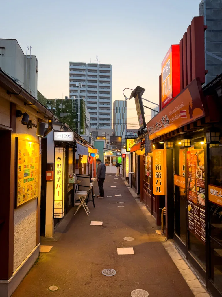Daimon Yokocho; Hakodate, Japão