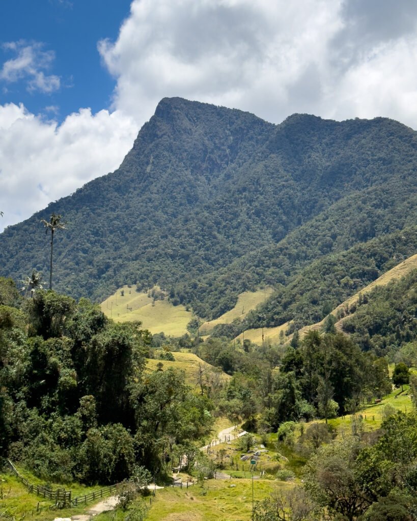 Where to stay in Salento, Cocora Valley, Colombia